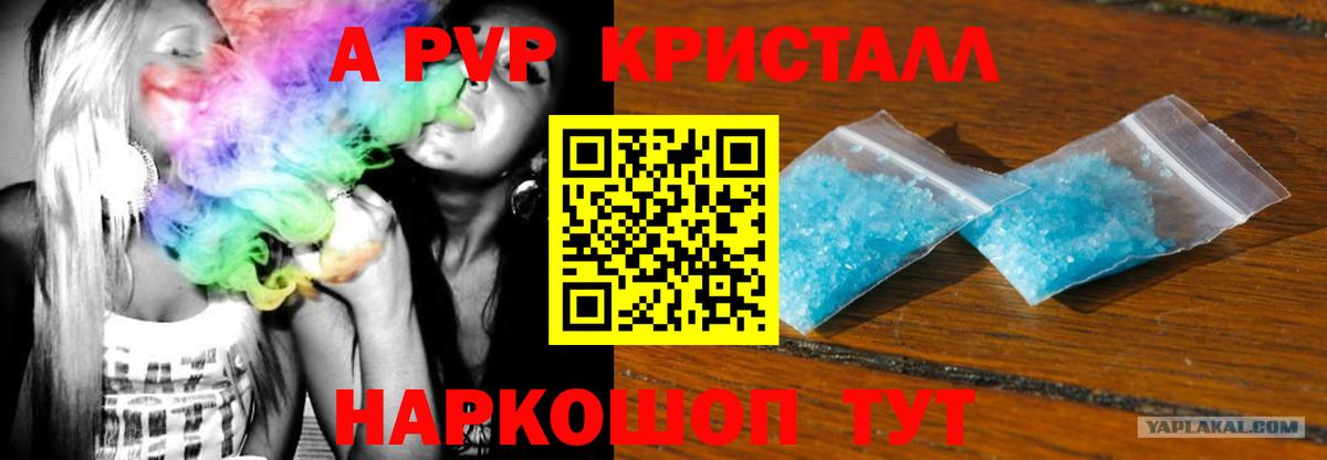 Alfa_PVP крисы CK  Вход с VPN  Вичуга  A PVP СК 