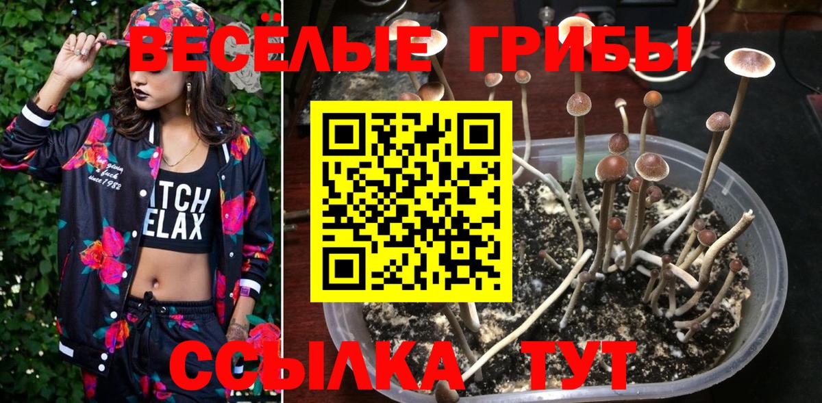 Галлюциногенные грибы мицелий Вичуга
