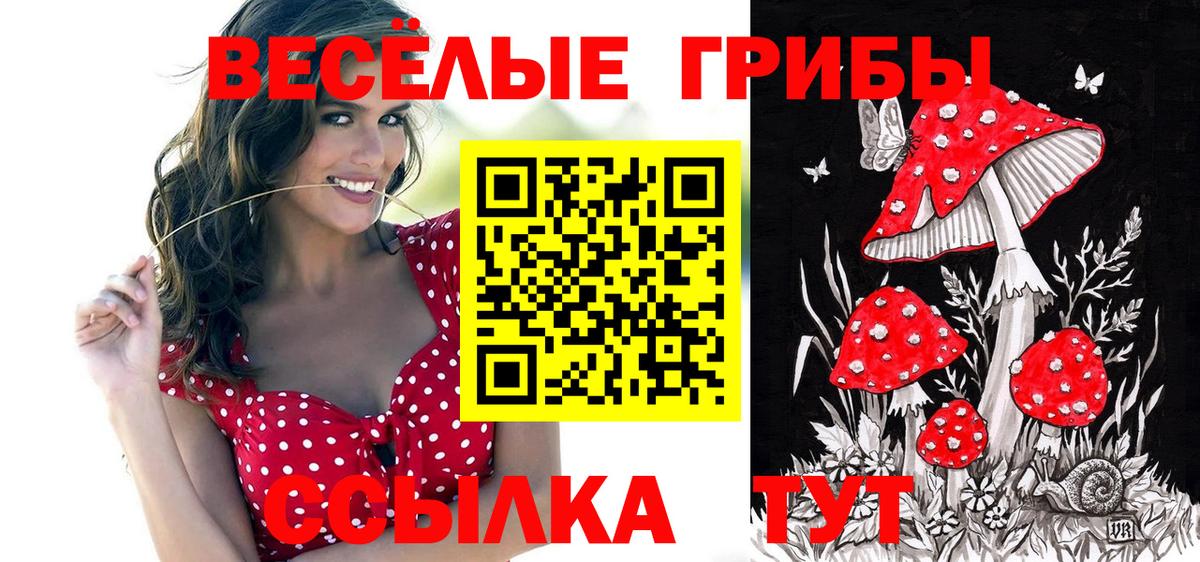 Галлюциногенные грибы мухоморы  Вход с VPN  Вичуга  Галлюциногенные грибы ЛСД 
